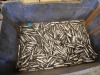 Assorted Milling Cutters. - 2