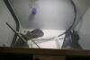 Gemini Pro 400 Wet Blast Cabinet - 3