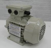 Teco Westinghouse IEC/EN 600034-1 Motor.