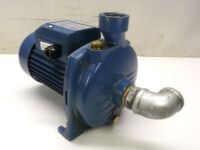 Pedrollo CP 130 Pump.