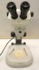 Vison SX45 Stereo Microscope.