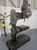 Qualters & Smith Radial Dril - 3