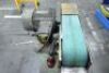4" Belt Linisher - 2