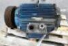 Alpack Induction 45kw Motor