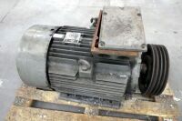 Lammers 45kw Motor