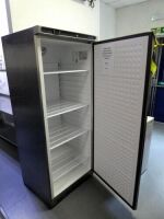 Polar CD084 Tall Refrigerator