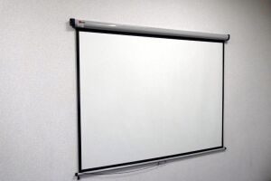 Projector Screen