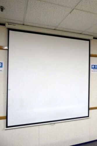 Projector Screen