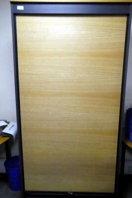 Roller Door Tall Cabinet