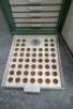 Metaserv Specimen Storage Cabinet - 4