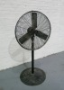 30" Fan, 240v