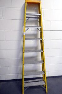 Safety Step Ladder