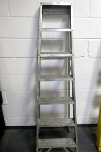 Safety Step Ladder