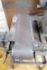 Twin Grinder With 4" Linisher - 3