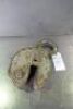2Ton Lifting Clamp