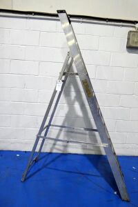 Platform Stepladder