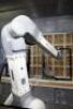 B+M Surface Systems Automatic Wet Paint Sprayline - 18