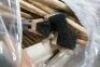 Platform Brooms, Rubber Squeegee etc - 3