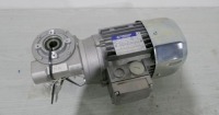 Bonfiglioni Motor / Gearbox