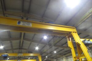 Technical Cranes 3 Ton Goliath Travelling Crane