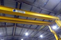 Technical Cranes 10 Ton Goliath Travelling Crane