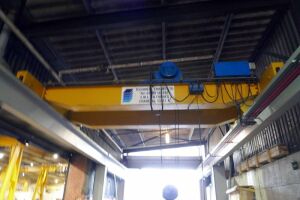 Technical Cranes Gantry Crane, 10T Capacity