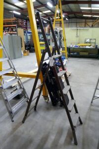 5 Rung Step Ladders