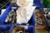 Assorted Handrail Fittings - 8