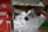 Assorted Plumbing Fittings - 12