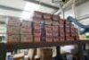 Large Quantity Of Assorted Wood Screws - 8