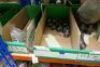 Assorted Iron Pipe Fittings And Plugs - 6