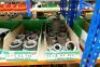 Assorted Iron Pipe Fittings And Plugs - 14