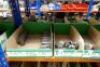 Assorted Iron Pipe Fittings And Plugs - 25