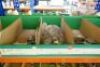 Assorted Iron Pipe Fittings And Plugs - 14