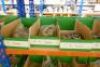 Assorted Iron Pipe Fittings And Plugs - 17