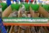 Assorted Iron Pipe Fittings And Plugs - 18