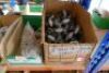 Assorted Iron Pipe Fittings And Plugs - 20