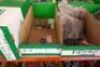 Assorted Iron Pipe Fittings And Plugs - 27
