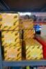 Assorted Screws Bolts And Fixings - 13