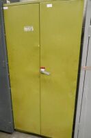 Steel 2 Door Cabinet
