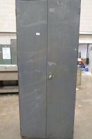 Steel 2 Door Cabinet 