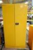 Steel Flammables Cabinet