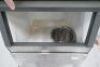 Scotsman Ice Machine - 2