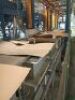Ercon Electro Deposition Paint Plant - 20