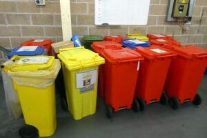 Various Plastic Wheelie Bins