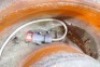 Vibrating Bowl Finishing Machine - 3