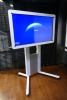 Ricoh D5500 Interactive Whiteboard