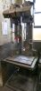 Archdale Twin Spindle Pillar Drill - 3