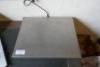 Salter 120kg Scales - 3