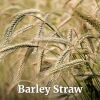 20 x Barley Straw - 120x70